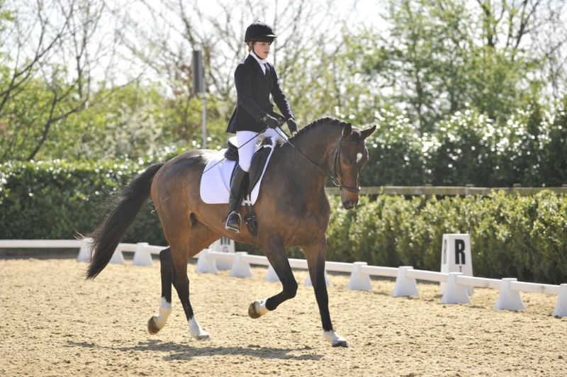 Trot