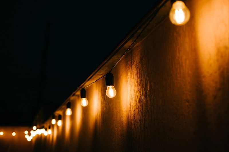 Reduce Outdoor Lighting That Attracts Their Prey