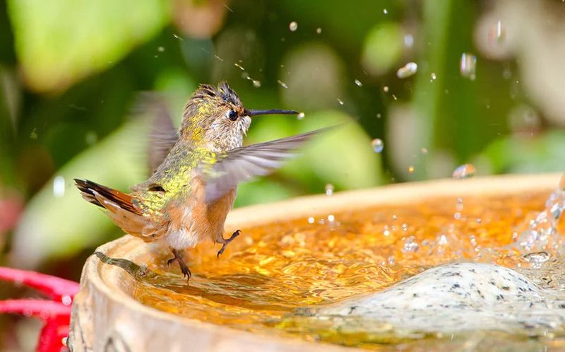 Create Moving Water Features