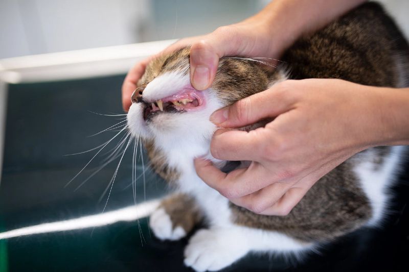 Bad Breath Beyond Normal