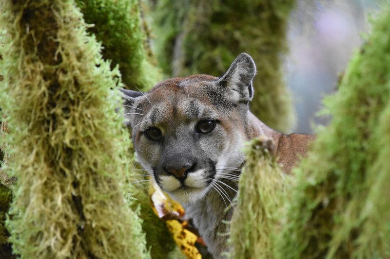 Biodiversity Hotspot Creation