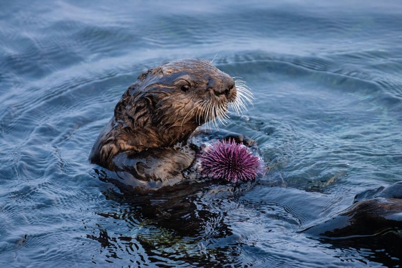 Biodiversity Takes a Nosedive