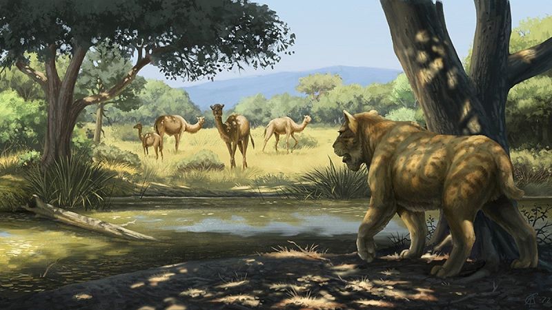 How Climate Change May Have Led To Their Extinction
