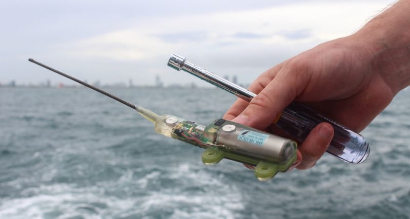 The Technology That Made Tracking The Shark Possible