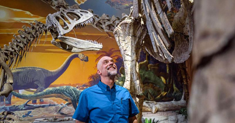 How Scientists Identified The Alamosaurus Fossil