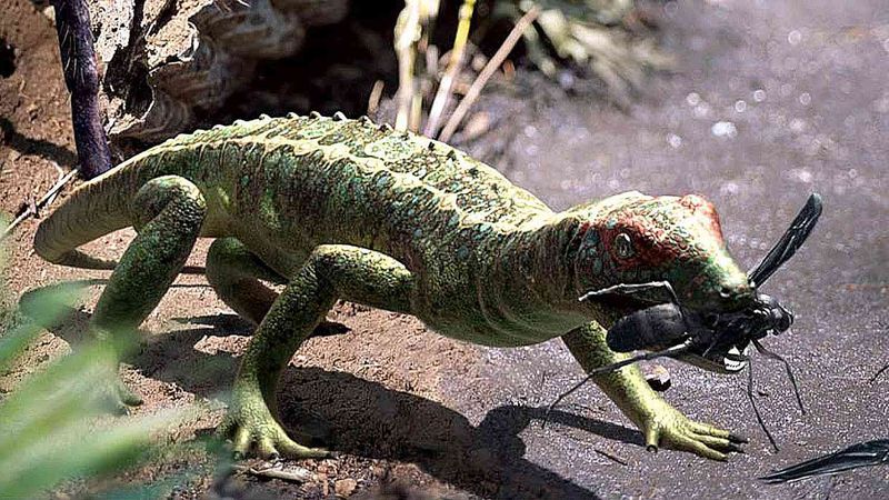 Uncovering The Diversity Of Prehistoric Reptiles In The Late Cretaceous Period