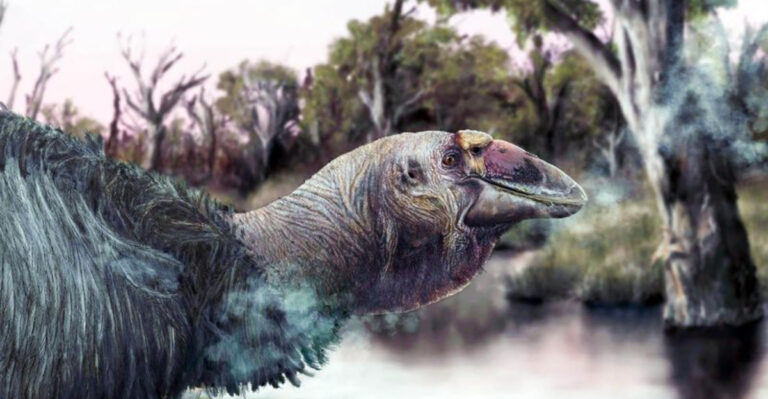 What Makes The Discovery Of The Rare ‘Thunder Bird’ Skull So Significant?