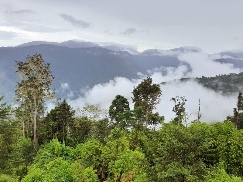 The Role Of Isolated Islands In Biodiversity