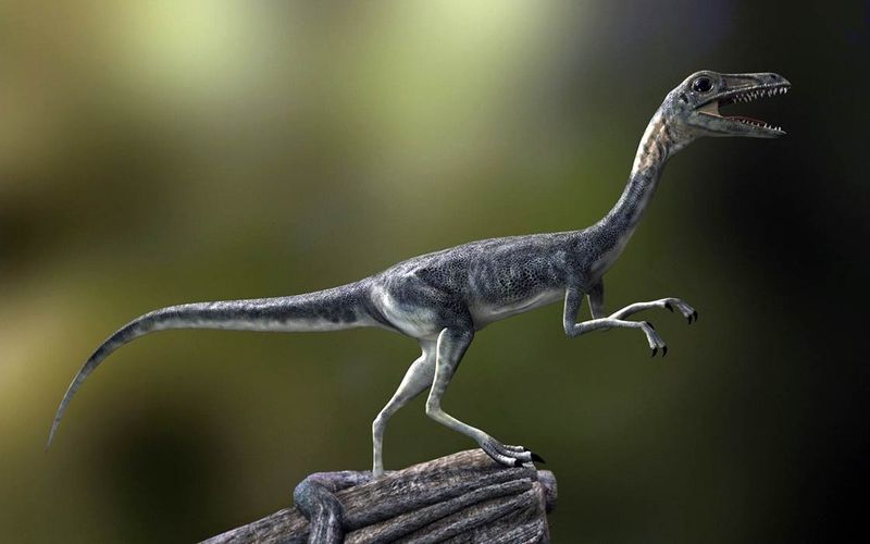 Dinosaurs Were All Giant Creatures