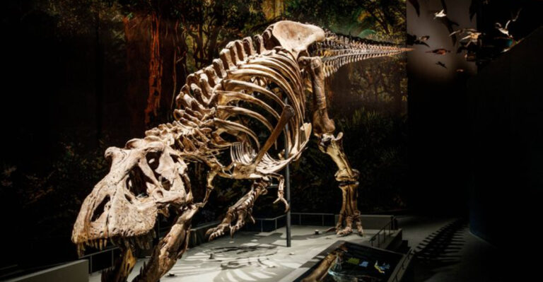 What Science Says About 24 Common Dinosaur Myths