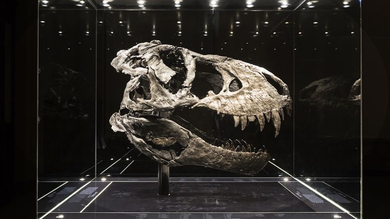 T. Rex's Speed Vs. Strength: Which Was More Important?