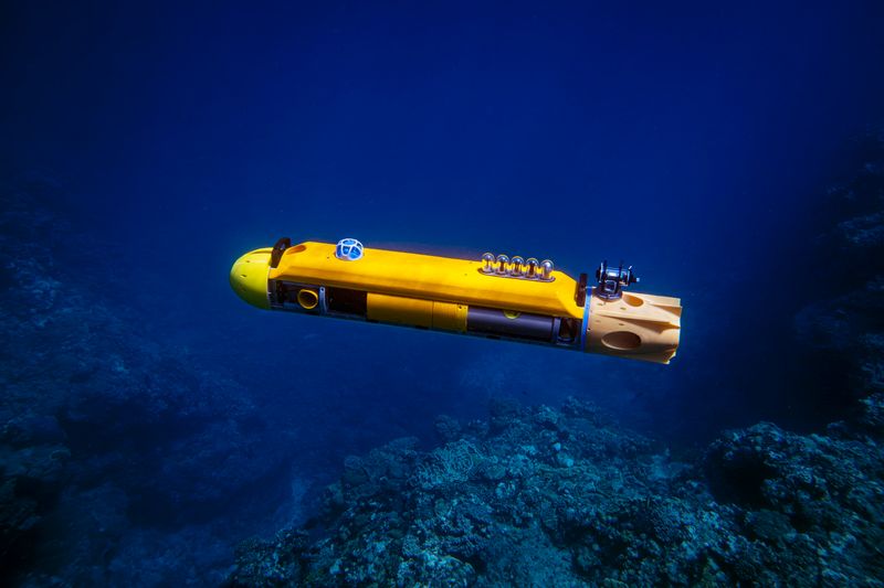 What's Next For Deep-Ocean Species Research?