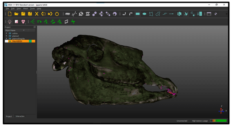 The Digital Tools Behind The 3-D Reconstruction Of A 30 Million-Year-Old Predator