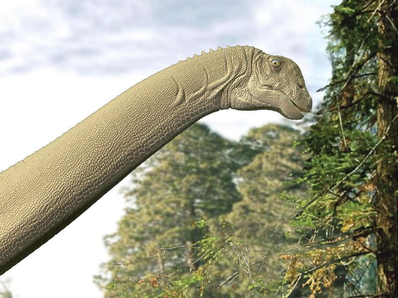 A New Look At Sauropod Diets: Herbivores Or Specialized Feeders?