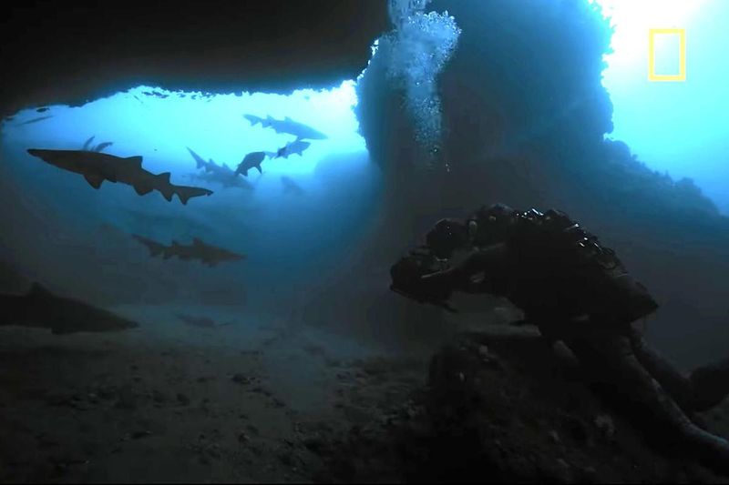 The Challenges Of Filming A Deep-Sea Creature