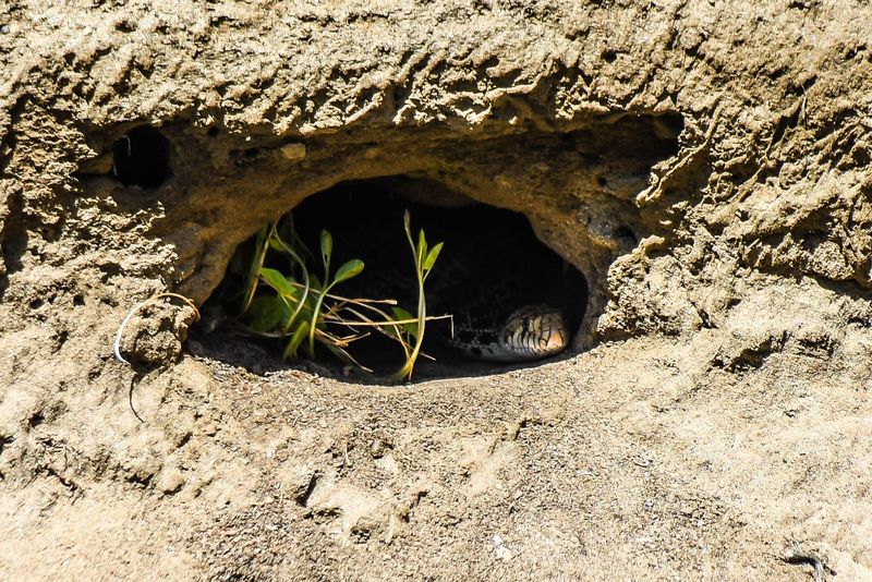 Underground Hideaways