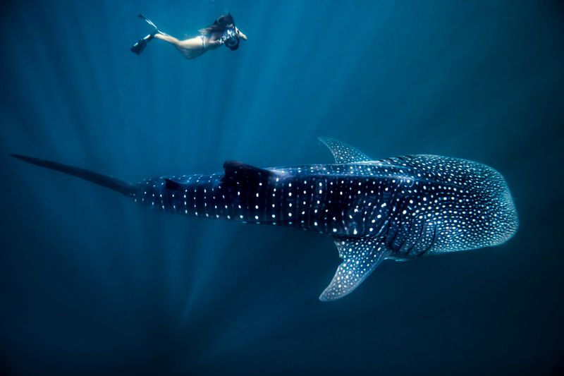 Ningaloo Reef, Australia