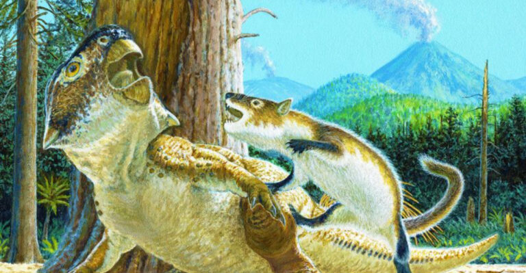 Who Ate The Dinosaurs After Their Passing? Scavenger Behavior In Prehistoric Times