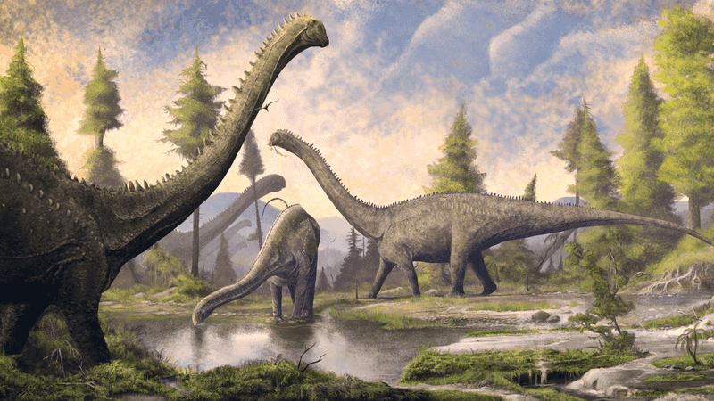 Paleontologists Uncover Rare Digestive Clues