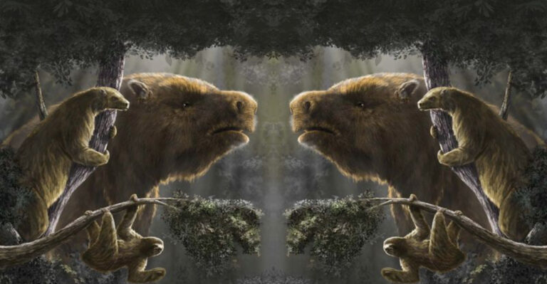 Why Giant Ground Sloths Evolved Three Separate Times For The Same Purpose?