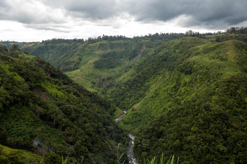 The Importance Of Papua New Guinea's Ecosystem In Conservation