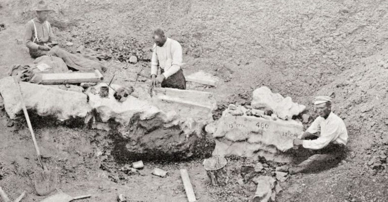 Why Were Dinosaur Fossils Not Recognized Until The 1800s?