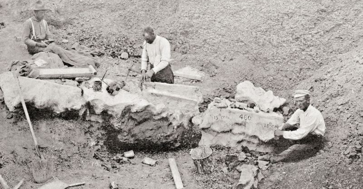 Why Were Dinosaur Fossils Not Recognized Until The 1800s?