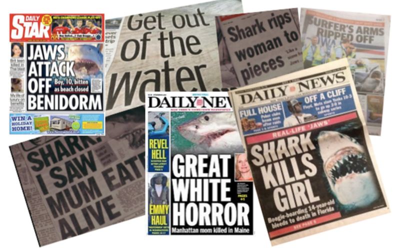 Media Coverage Became Sensationalized