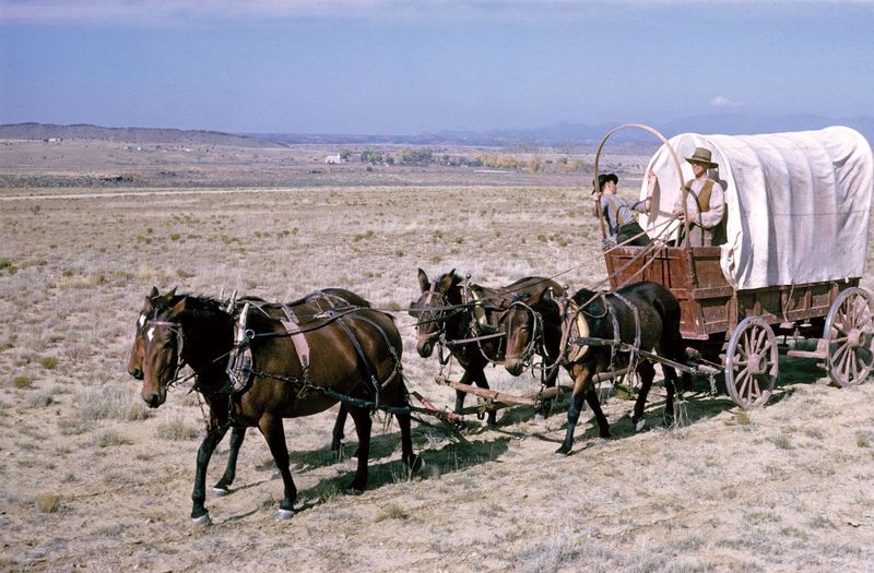How Wild Horses Contributed To Western Expansion