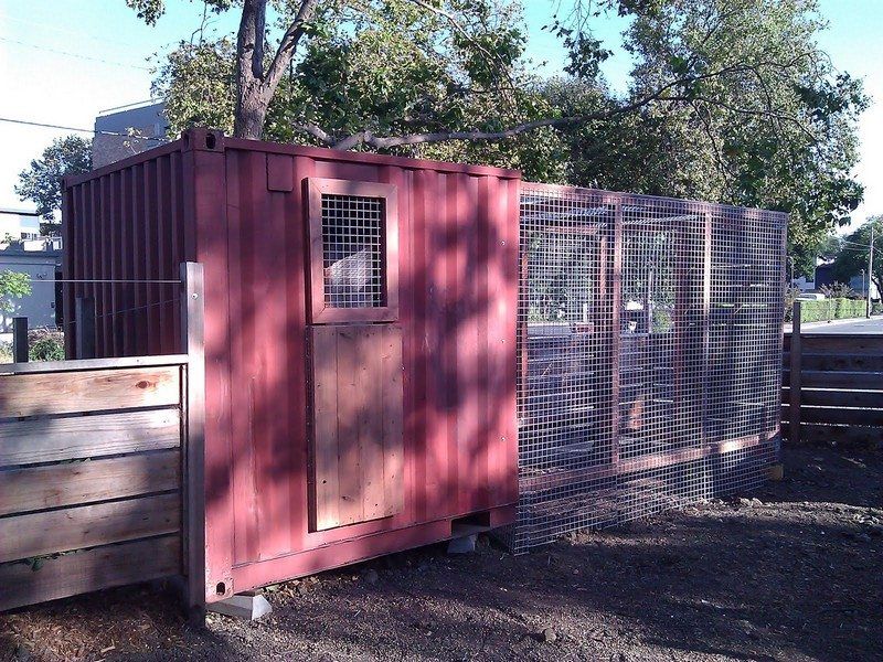 Shipping Container Modern Coop
