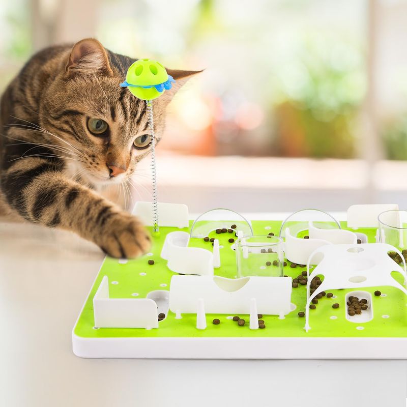 Puzzle Feeders
