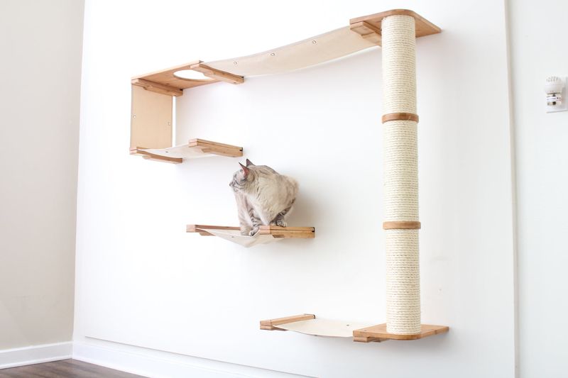 Modular Climbing Wall: Customizable Kitty Gym