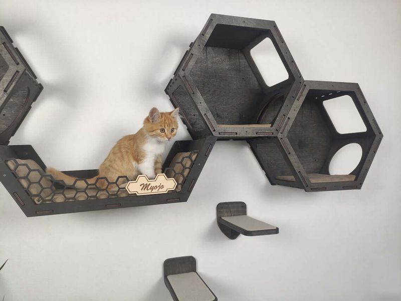 Wall-Mounted Shelves: Vertical Playground
