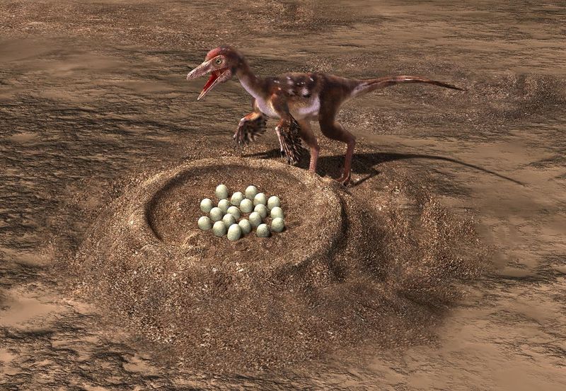 Egg-Laying Evidence Connects Reproductive Strategies
