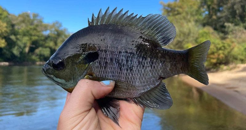 Use Tiny Jigs