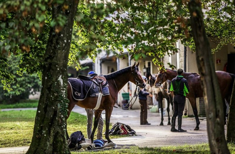Racing Industry Faces Ethical Challenges