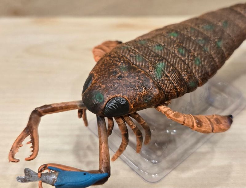 The Jaekelopterus Rhenaniae – A True Water Monster