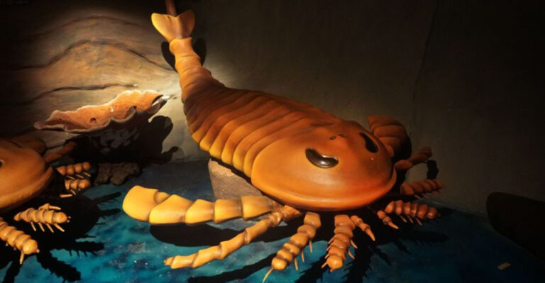World’s Largest Scorpion Ever Found In The U.S. Was Larger Than Humans