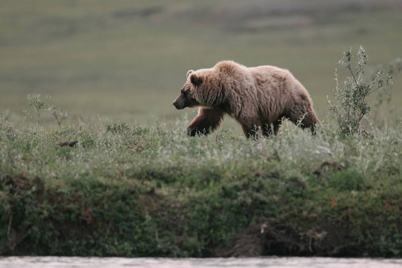 Gates Of The Arctic: True Wilderness Experience