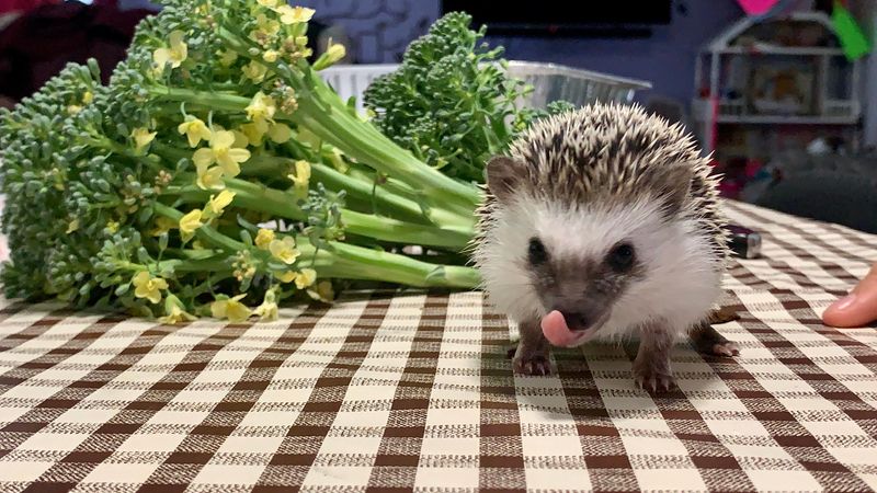 Crisp Vegetables