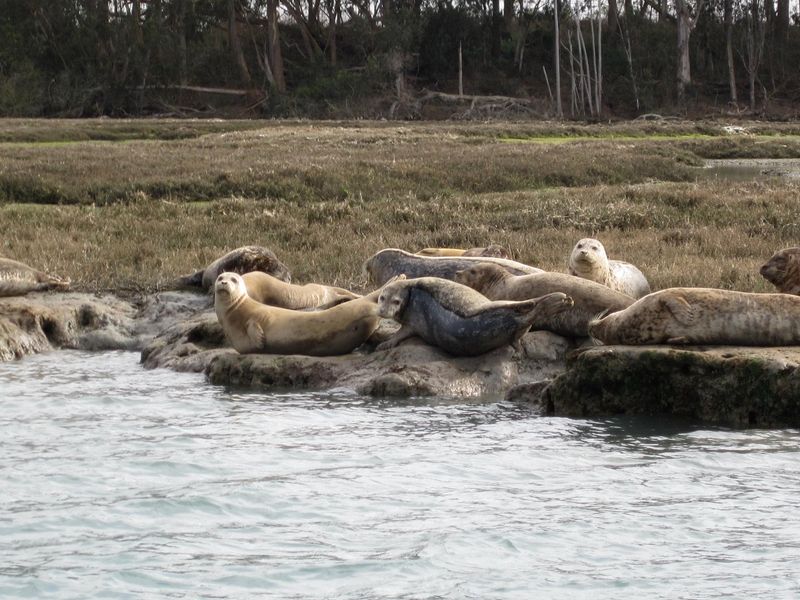 Moss Landing, California
