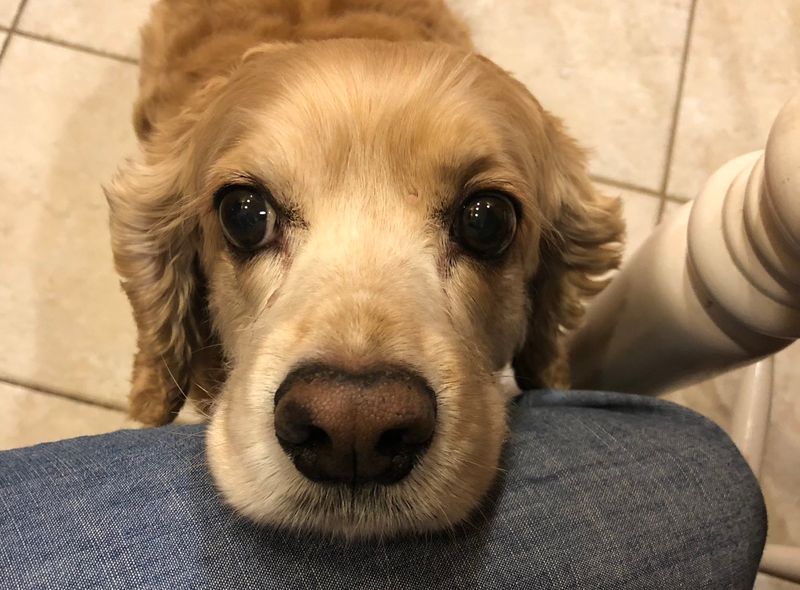 That Snack Smells Amazing - Can I Have Some?