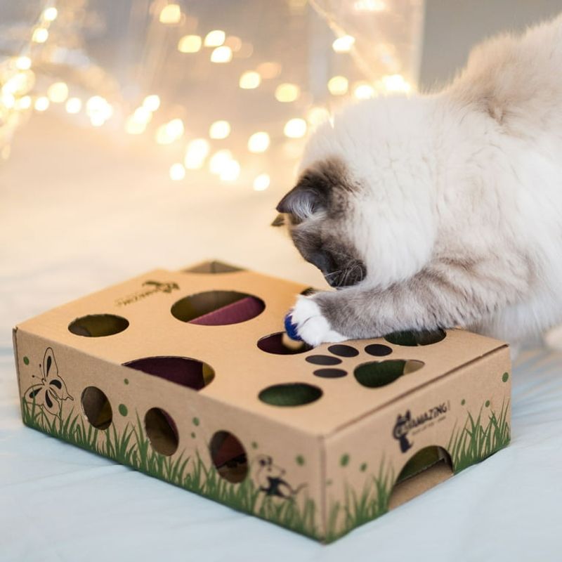 Your Cat Has Interactive Toys To Keep Busy