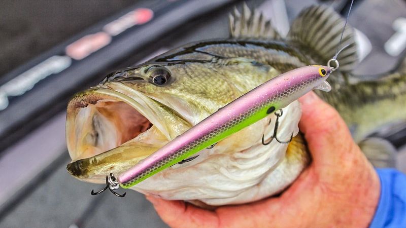 Bass Won't Strike The Same Lure Twice