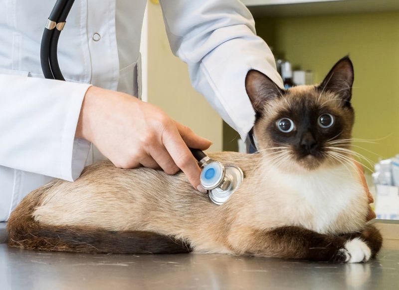 You Can Afford Quality Care