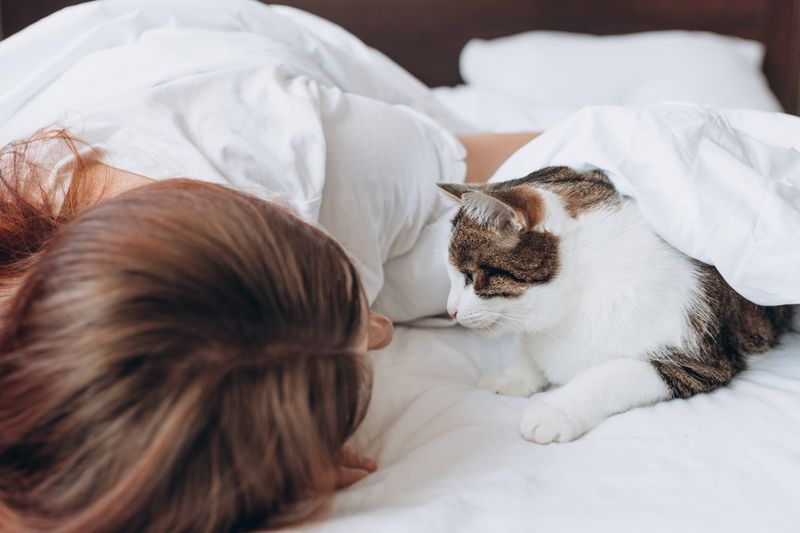 Your Sleep Quality