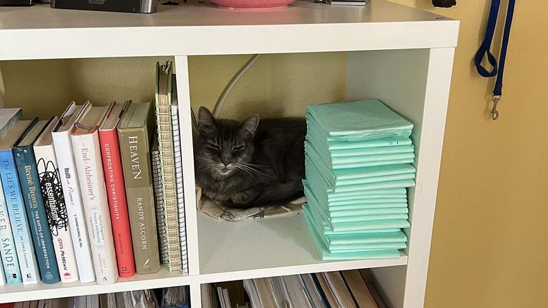 Your Bookshelf