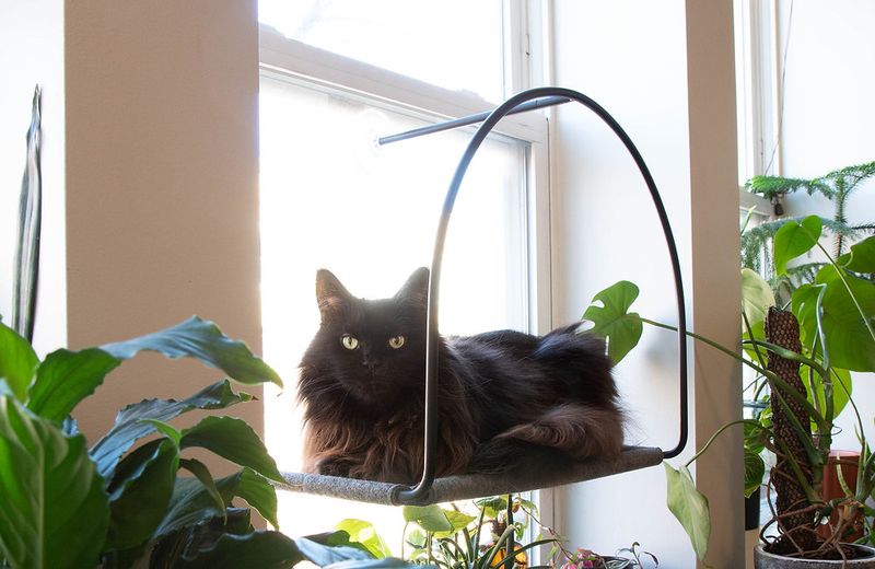 You Have Cat Furniture That's Actually Used