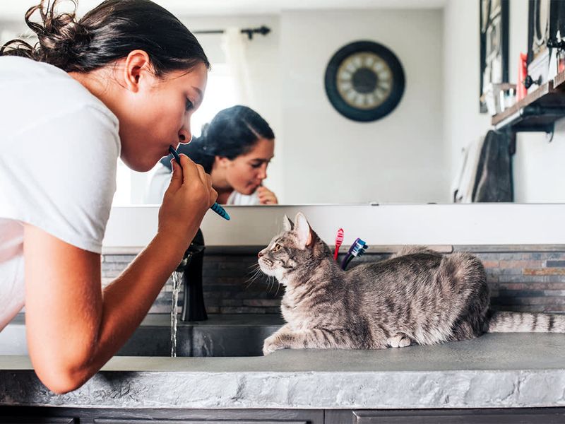 Your Cat Follows You To The Bathroom