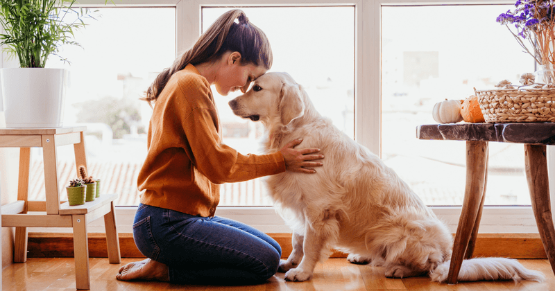 Your Capacity For Unconditional Love Deepens